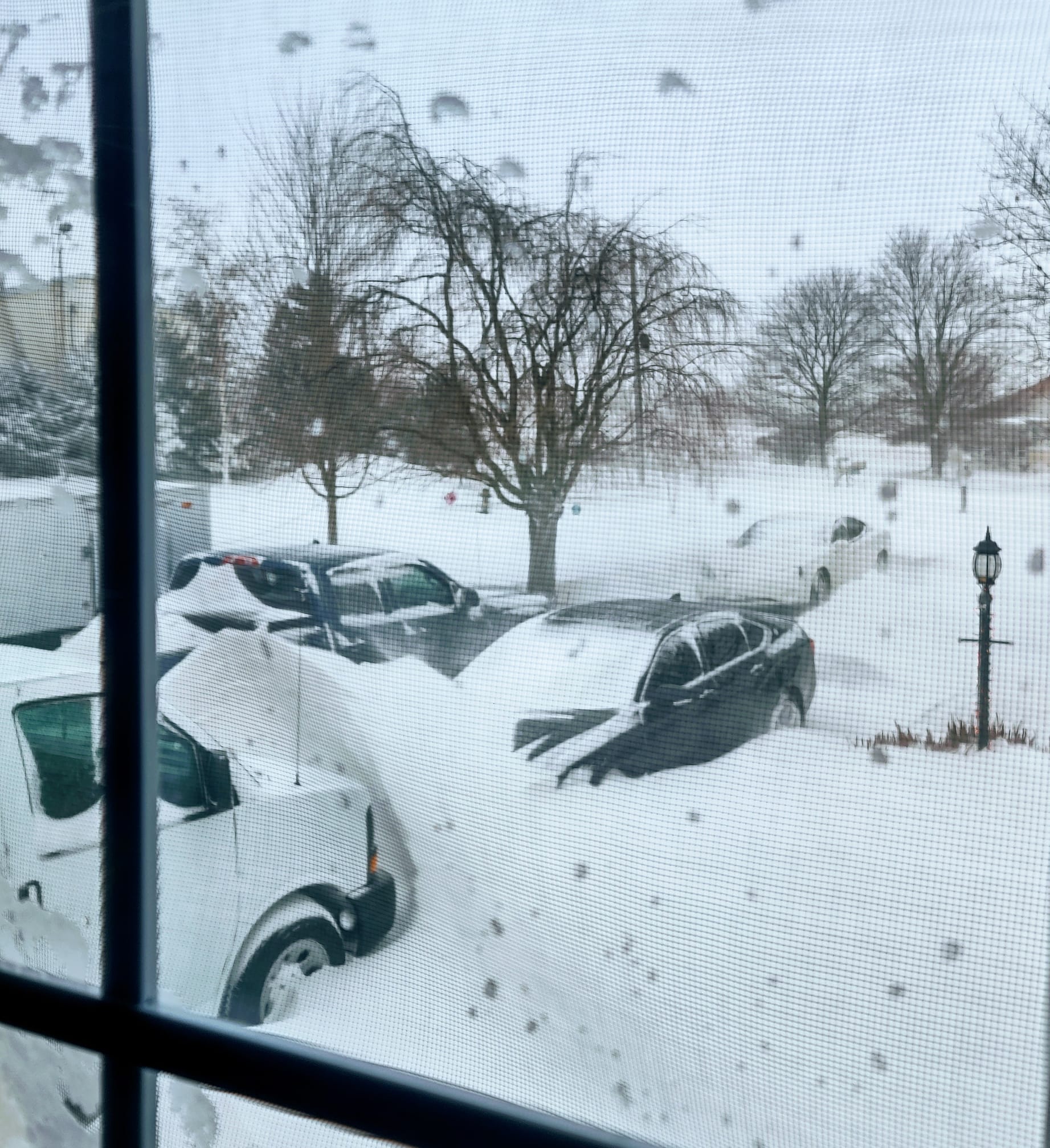 A Major Winter Storm System Impacted The Region In The Days Leading Up To Christmas 2022